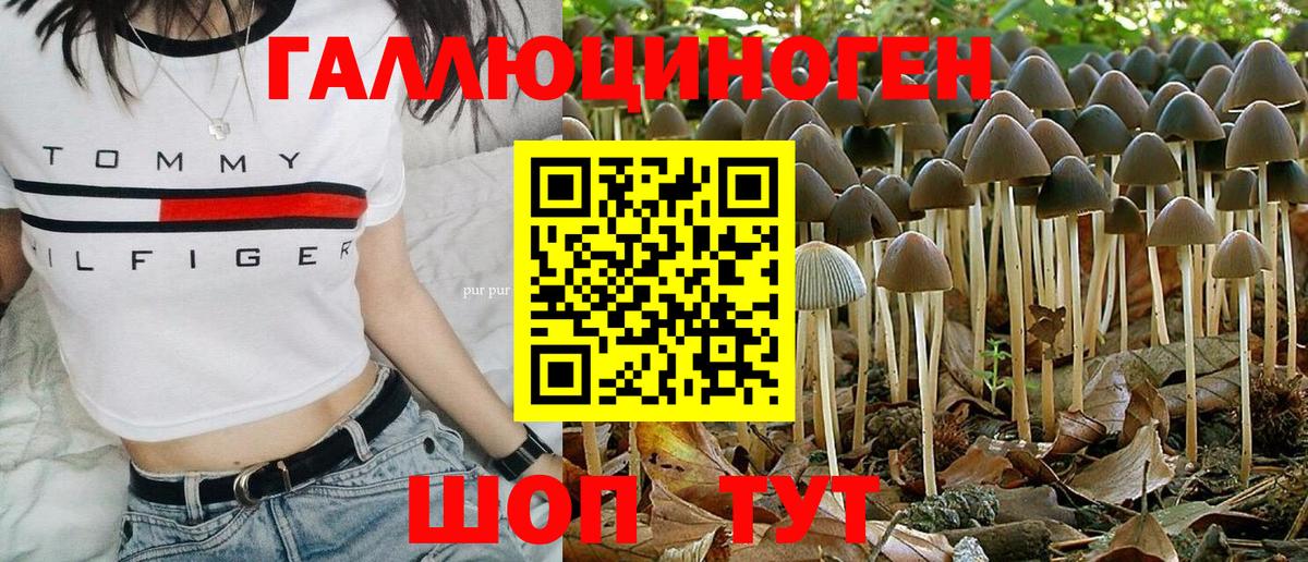 Галлюциногенные грибы ЛСД Свободный