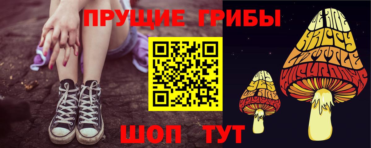 Псилоцибиновые грибы мухоморы  Вход с VPN  купить закладку  Свободный 